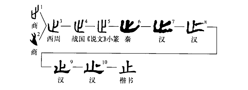 烨赫华翰《烨赫讲篆书》之止字的来历及其演变过程