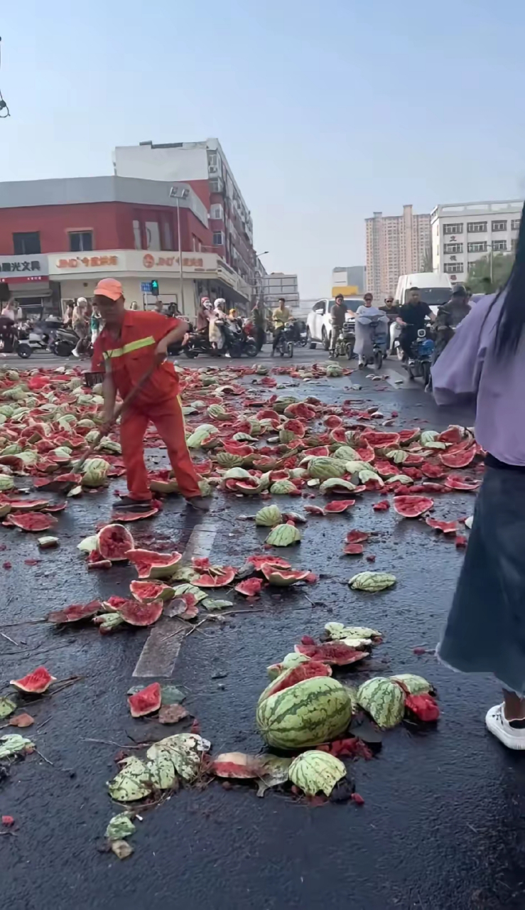 广西西瓜雷州事件图片