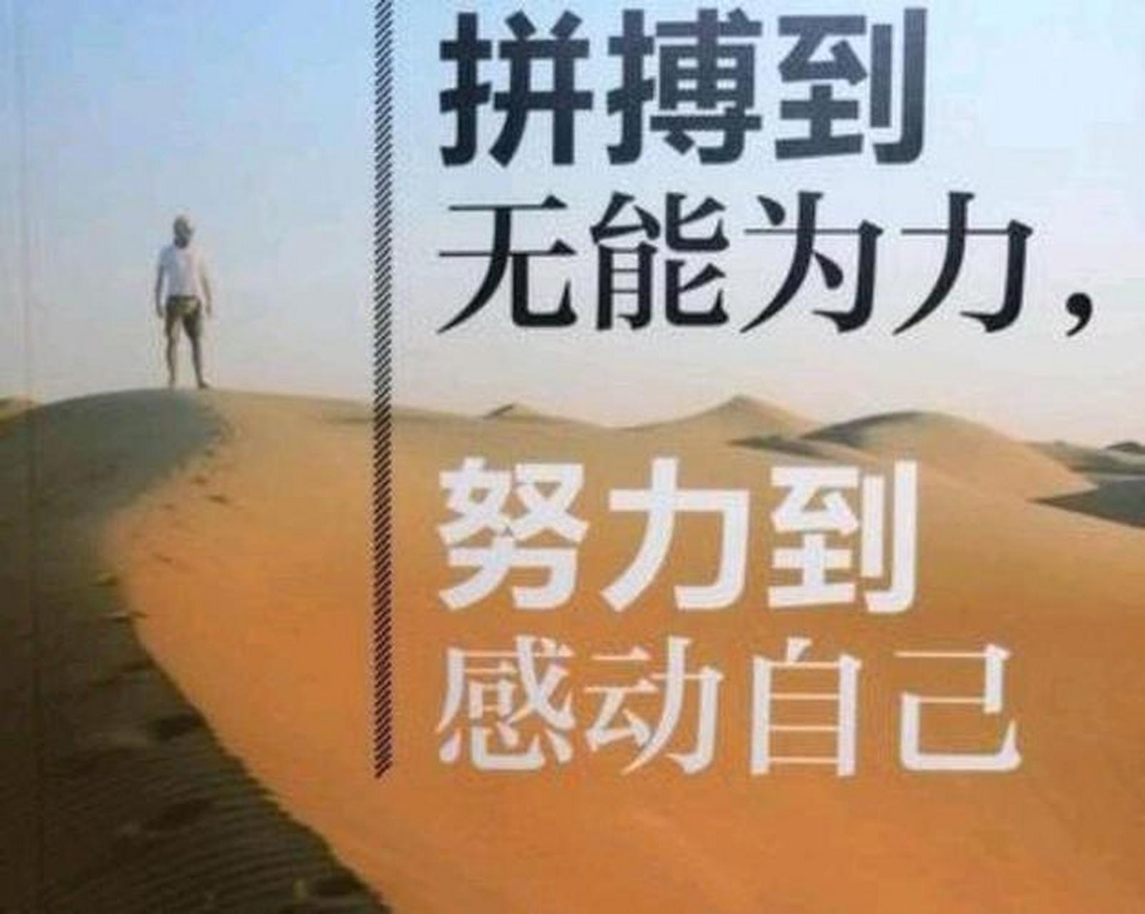 正能量励志人生感悟: *生活是不会辜负每一个努力拼搏的人