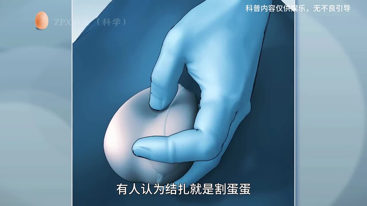 用3d的形式演示男性结扎过程