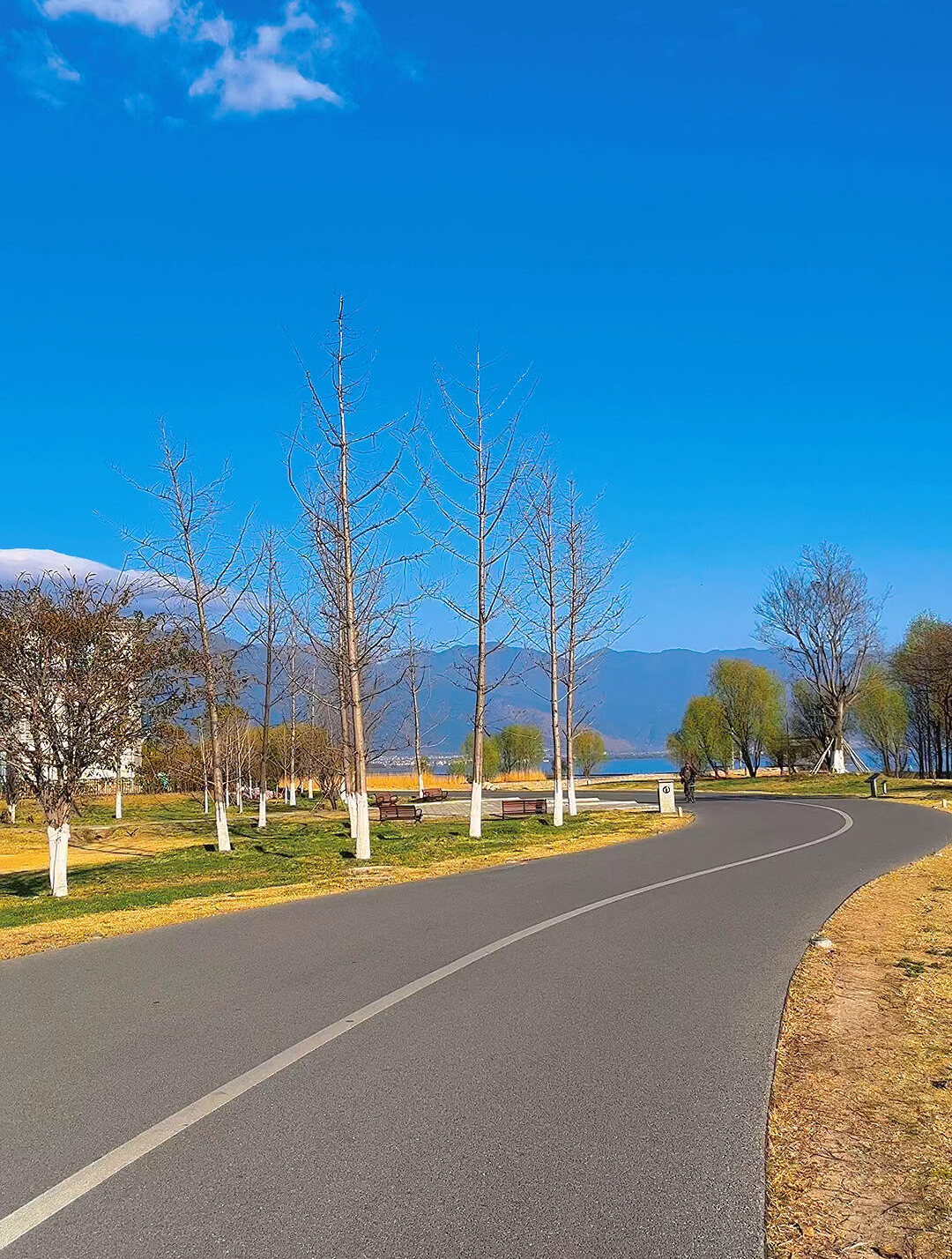 你一定不知道的大理绝美s弯道