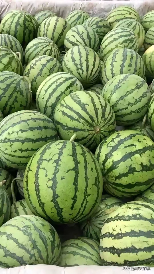 这几天回老家,我跟朋友去河南夏邑买了一车西瓜,直击泪点!