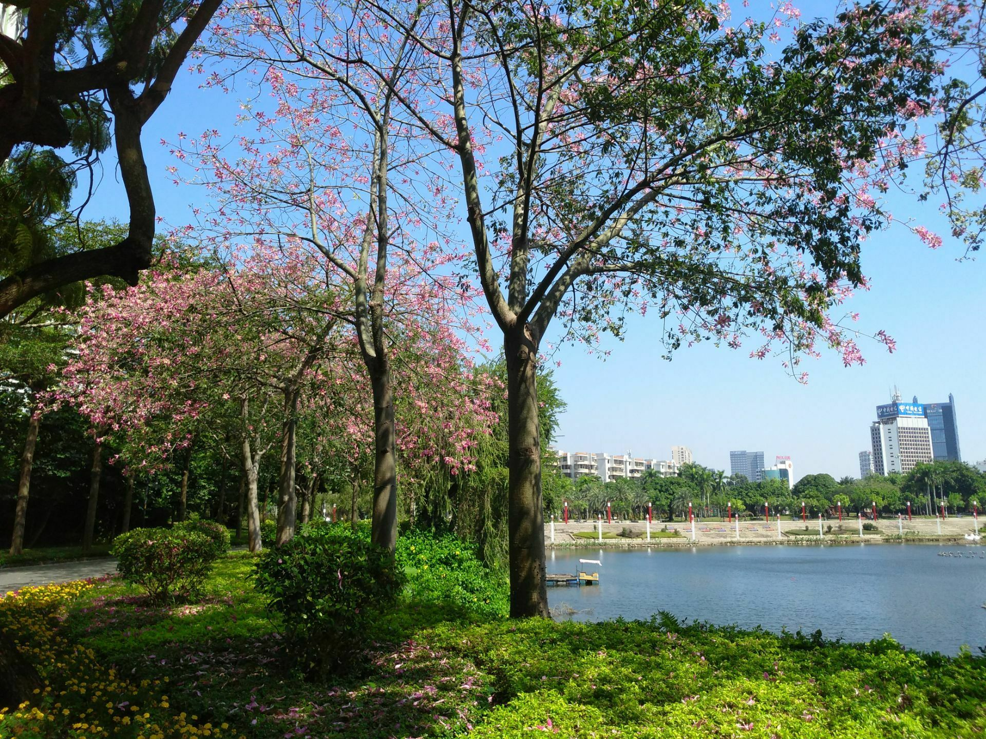 阳江十大最美景点