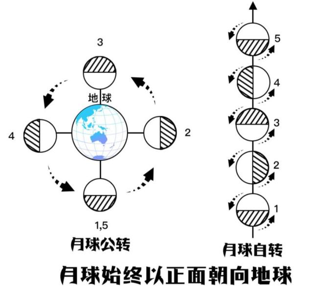 月球公转方向示意图图片