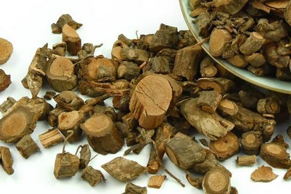 农村骗局之四:黑老虎种植是否为骗局?不可轻信炒作苗种的商家