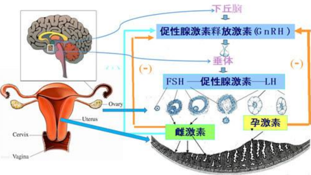baijiahao.baidu.com
