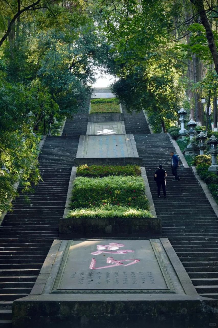 充满夏日绿意的忠山公园是泸州人民周末休息的好出去!
