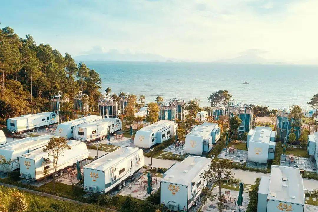 全球最奇特的酒店:住客必须与动物共处,体验者直呼刺激