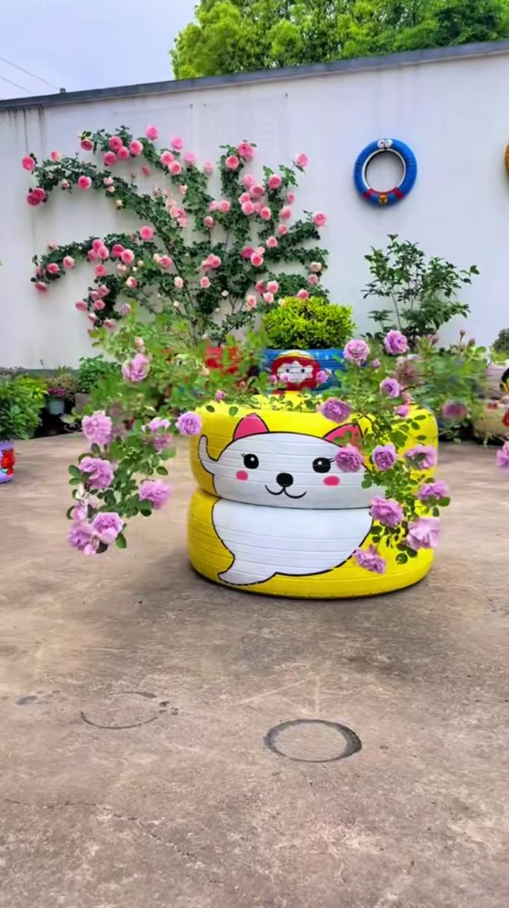 今天见到用轮胎做成的花盆,里面的花绽放着,特别好看!