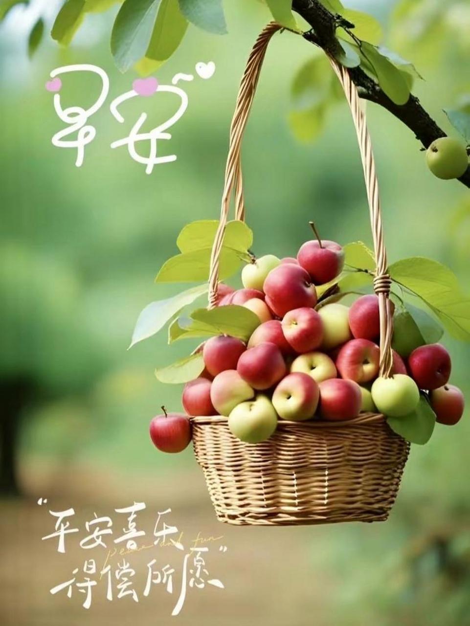 水果早安图片,分享给有缘看到的你. #今日早安