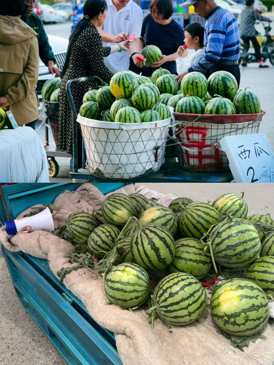 广西西瓜雷州事件图片