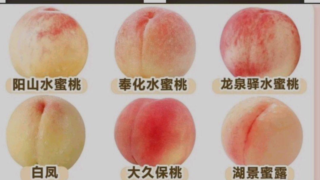 下面,我们将详细介绍早花露,雨花露,白丽水蜜桃,春雪,黄金蜜3号,霞