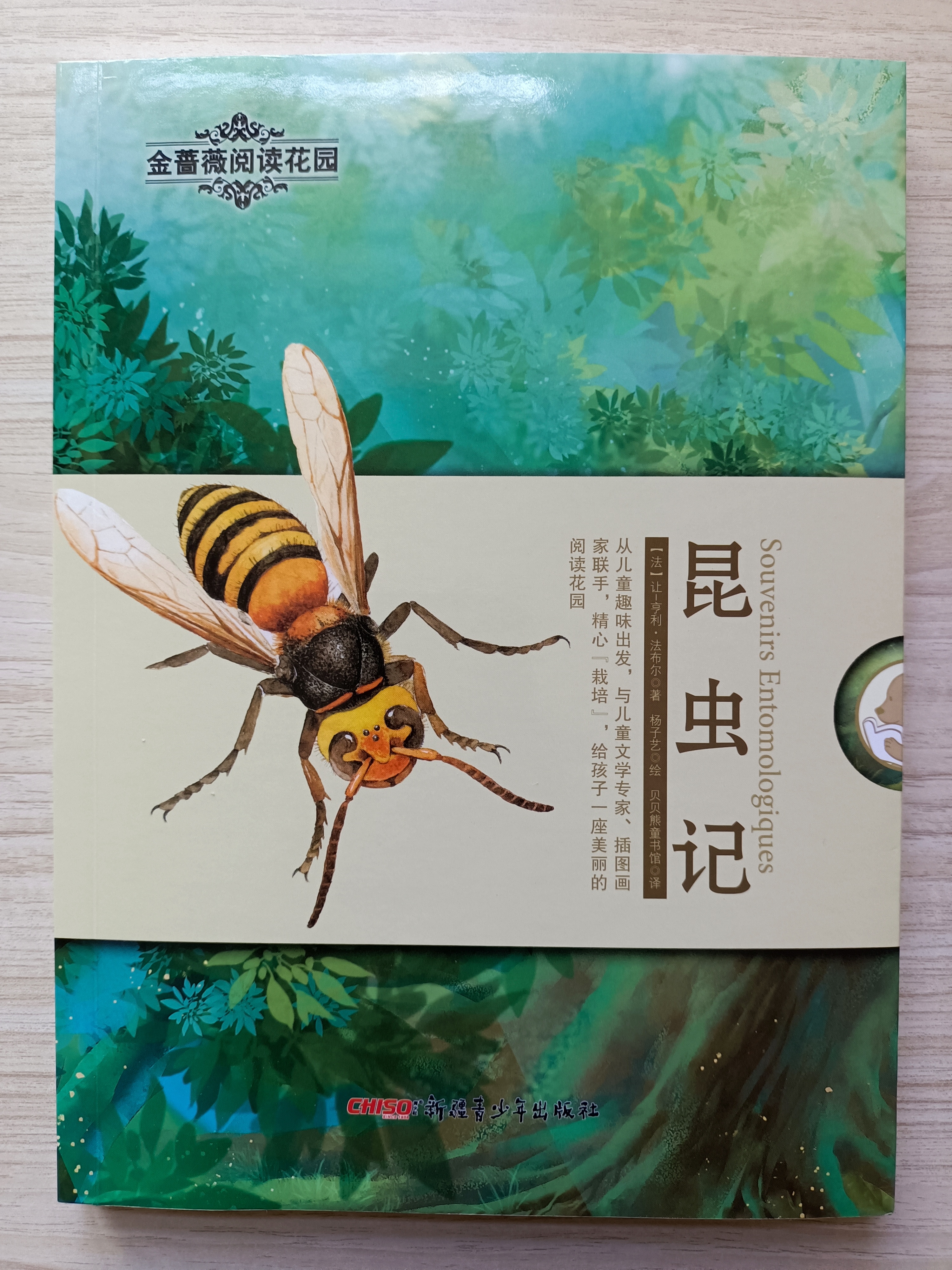 螳螂(《昆虫记》文摘)