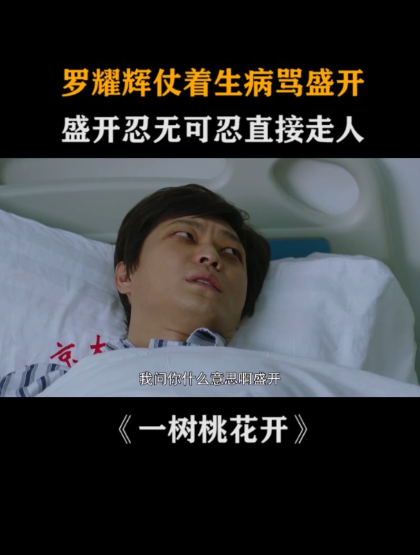 一树桃花开:罗耀辉仗着生病骂盛开,盛开忍无可忍甩脸走人