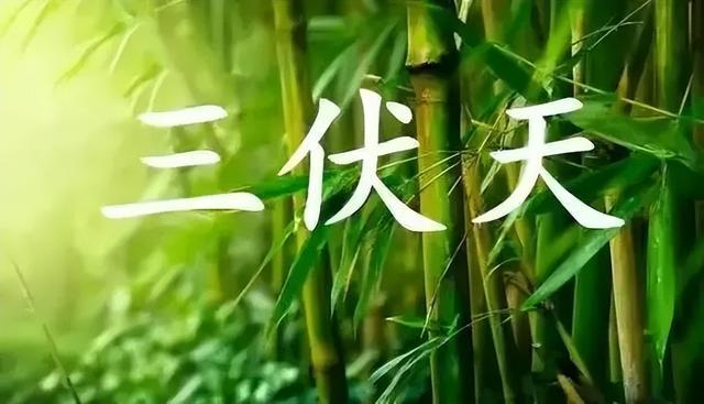 三伏天什么时候开始?几月几号结束?入伏最新时间表公布