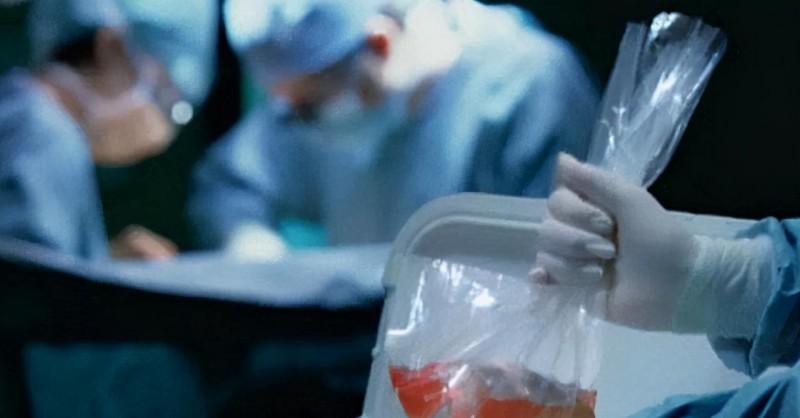 1984年美国母亲为初生女儿移植狒狒心脏,最后怎样了