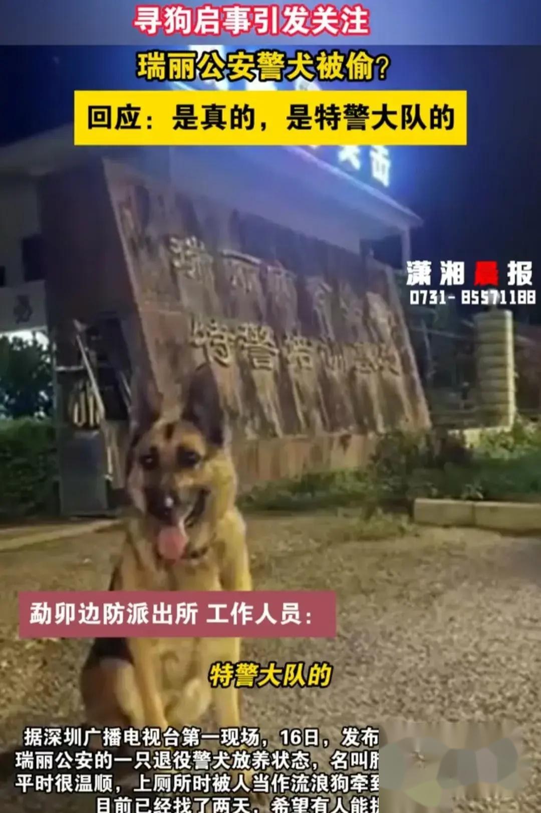 云南瑞丽一警犬被偷,瑞丽公安评论区沦陷,网友谁绑架了公务员