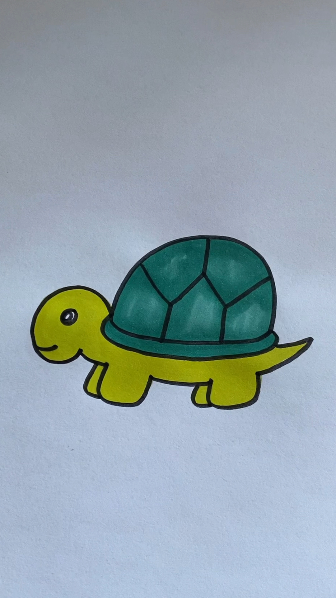 数字3画小乌龟,一学就会