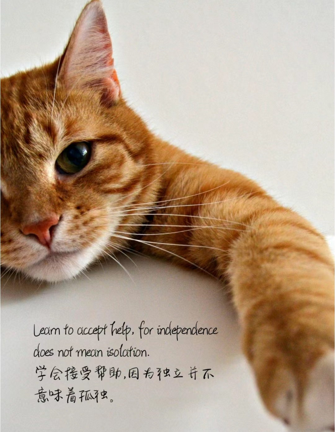 学会接受帮助,因为独立并不意味着孤独 保持韧性,因为