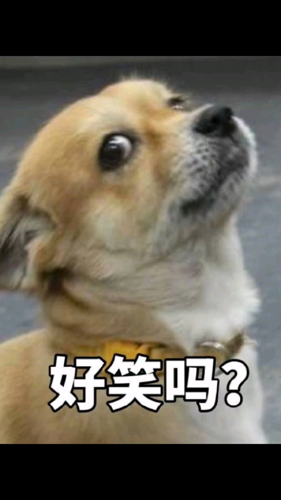 幽默搞笑图片:发给亲友开心快乐,每天笑一笑!