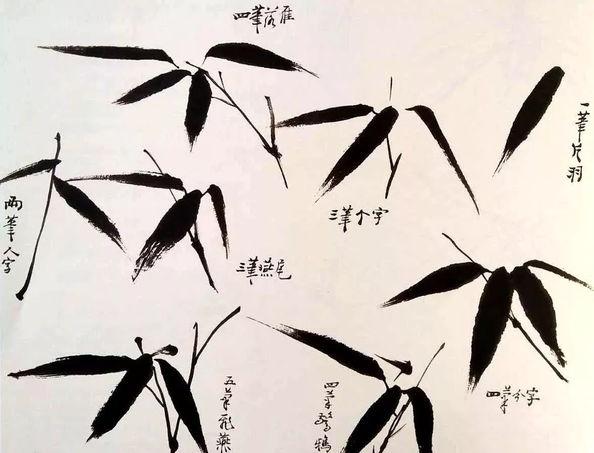 美术技法精品课程——写意国画中竹子,竹叶,竹枝的画法 国画中的竹常