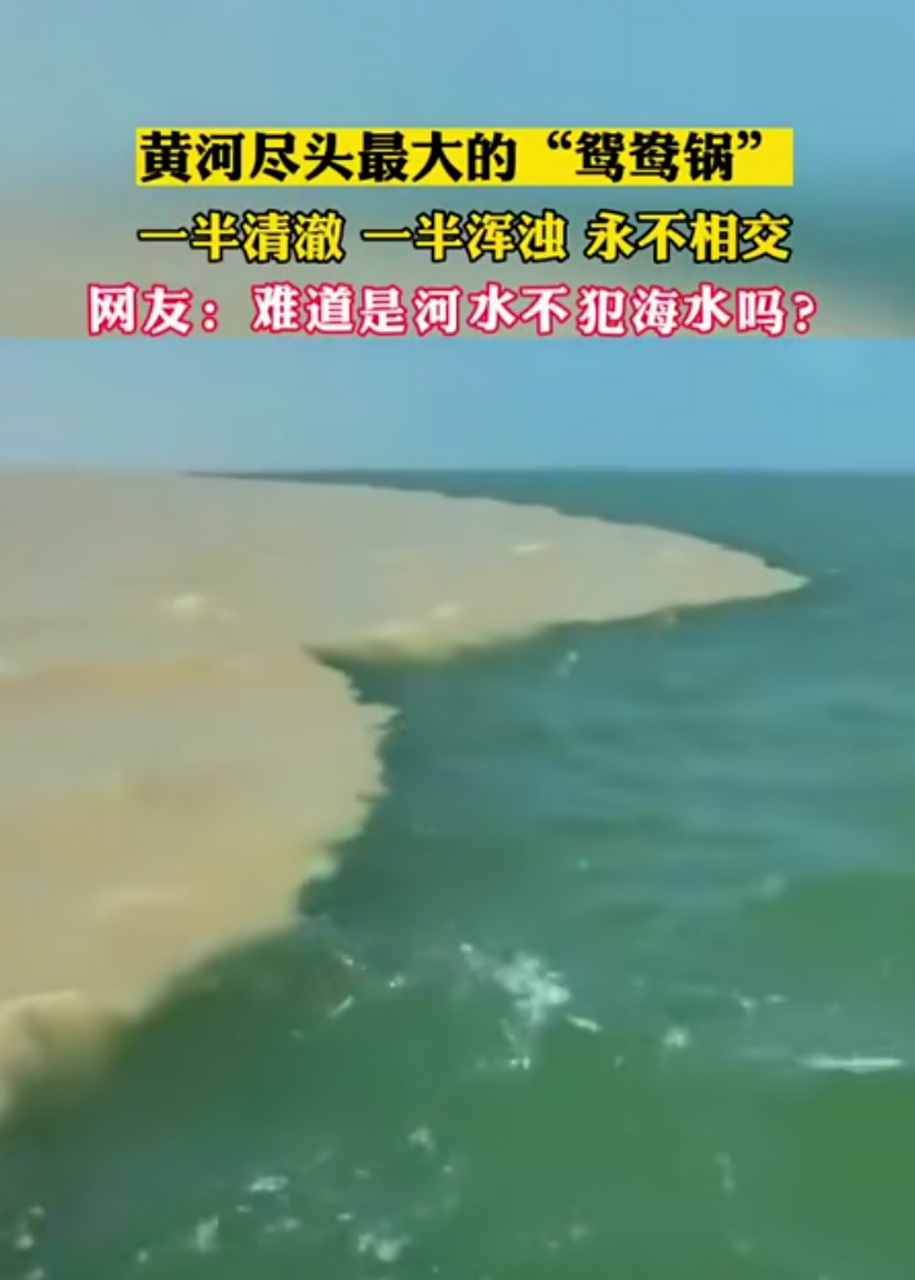 黄河尽头居然是一个大的"鸳鸯锅[色][色][色]#黄河