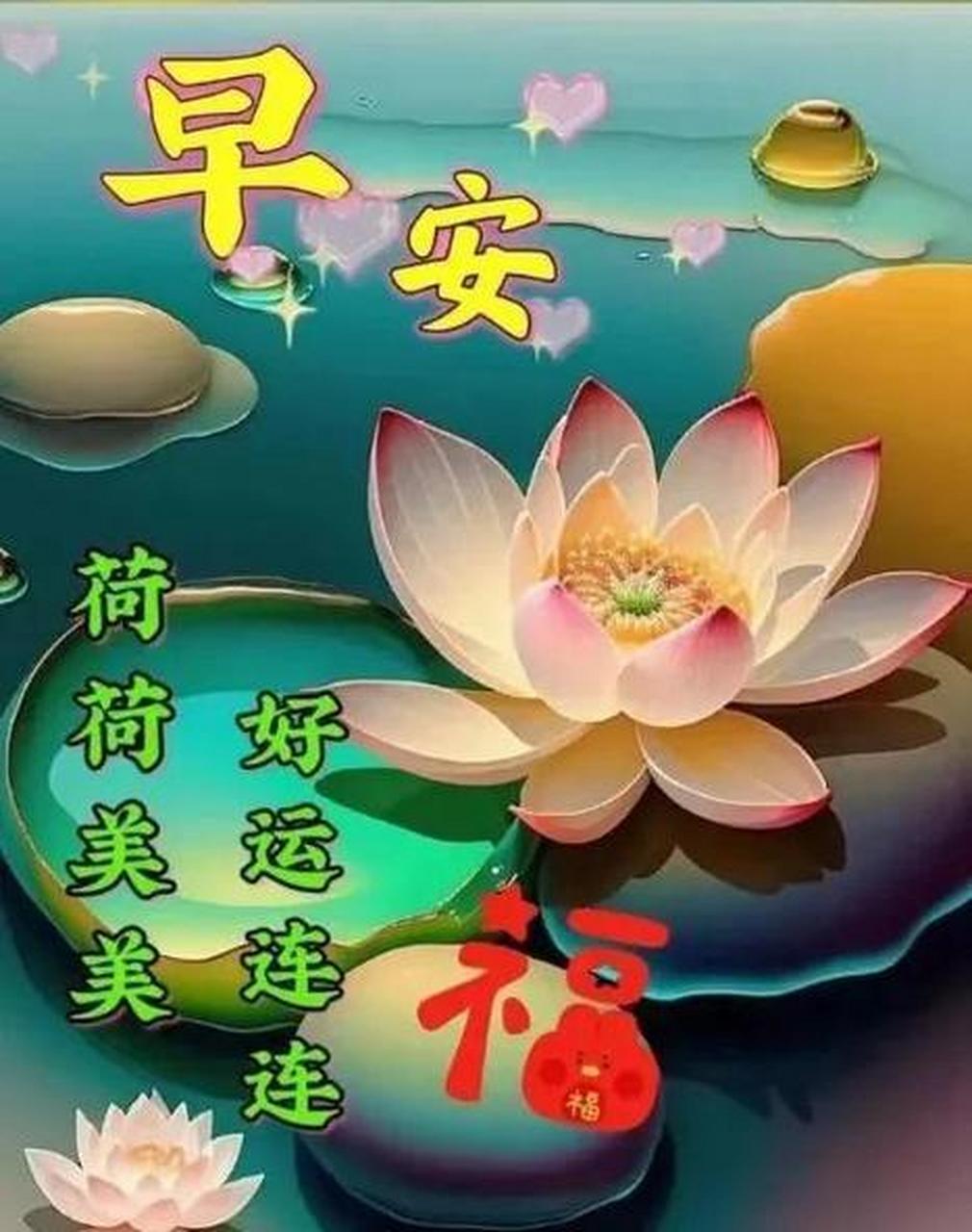 莲花早安图片,祝您荷荷美美,好运莲莲! #今日早安