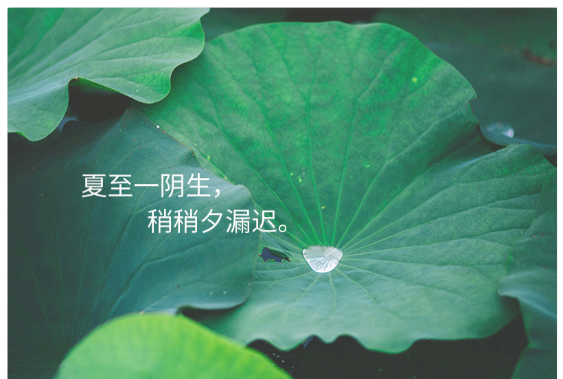 夏至一阴生稍稍夕漏迟详解
