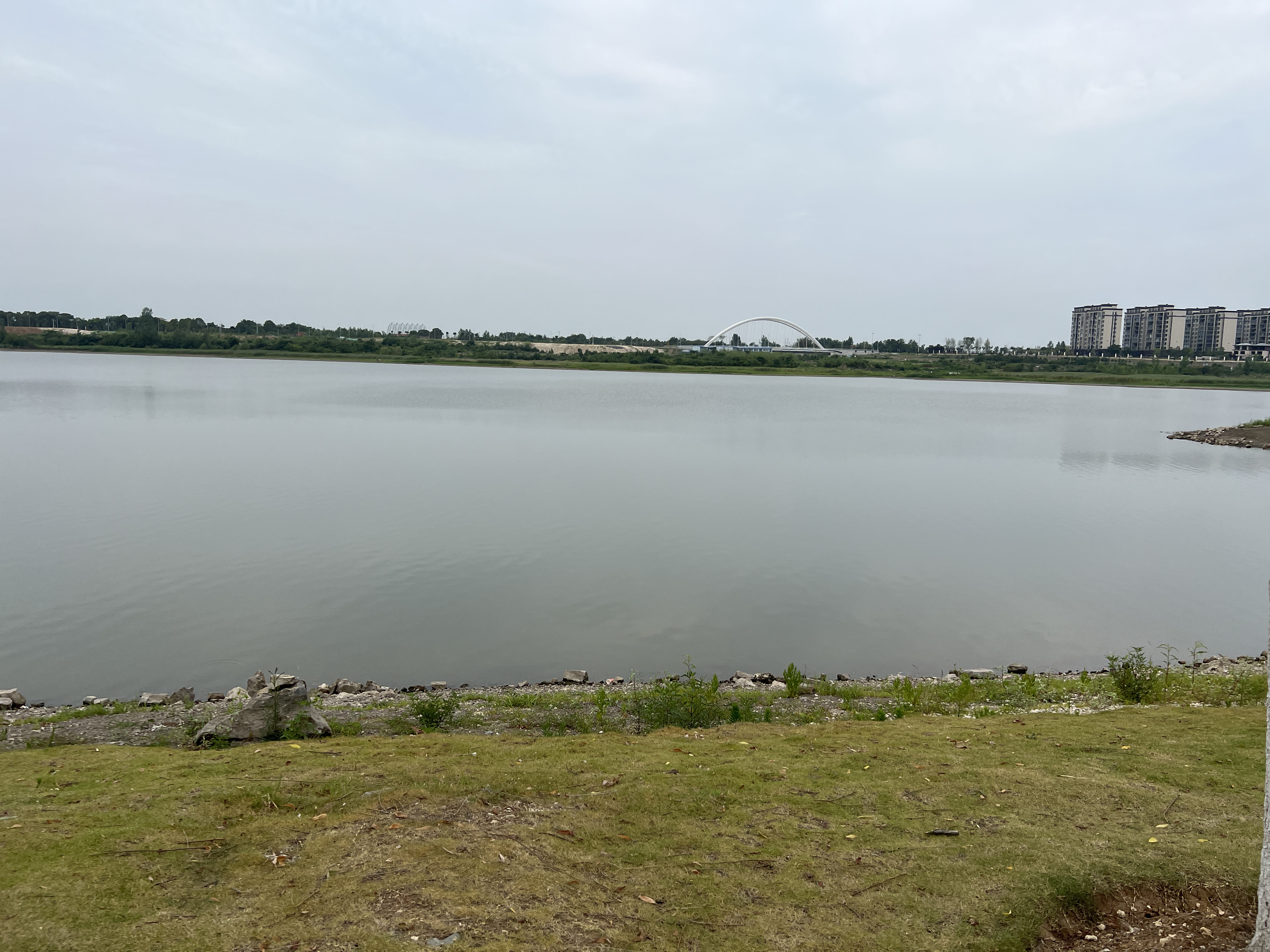凤凰湖湿地公园荷花香,休闲散步好去处