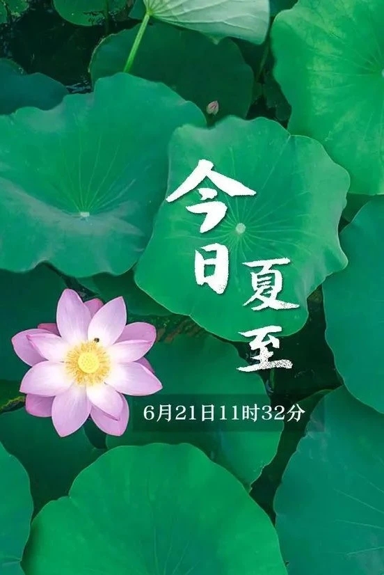 今日夏至︳夏至节气图片合集:愿你生如夏花,向阳而立,夏至快乐