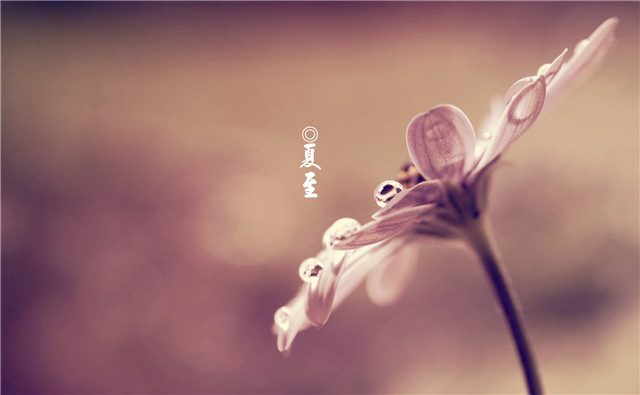 今日夏至:如约而至