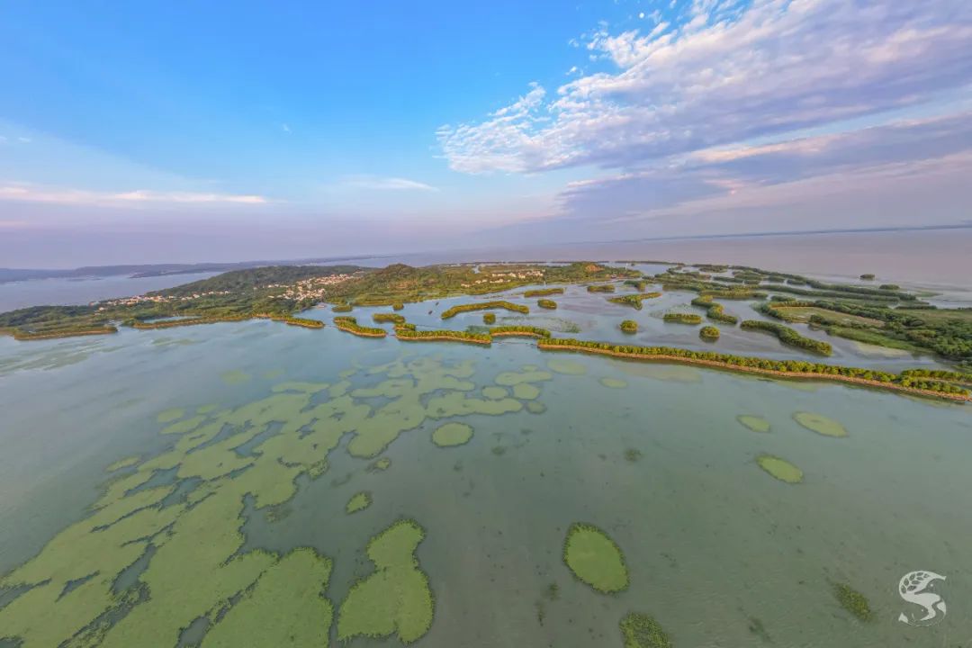 太湖三山岛湿地公园图片