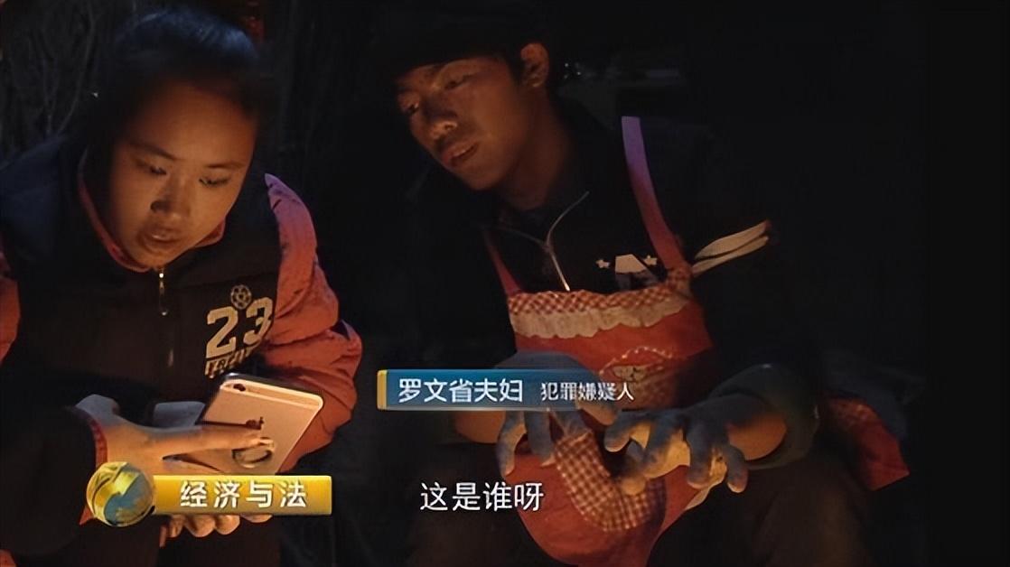 顺藤摸瓜最终真相大白