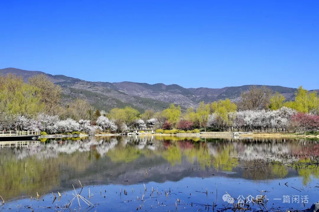 海淀区免费景点大全图片