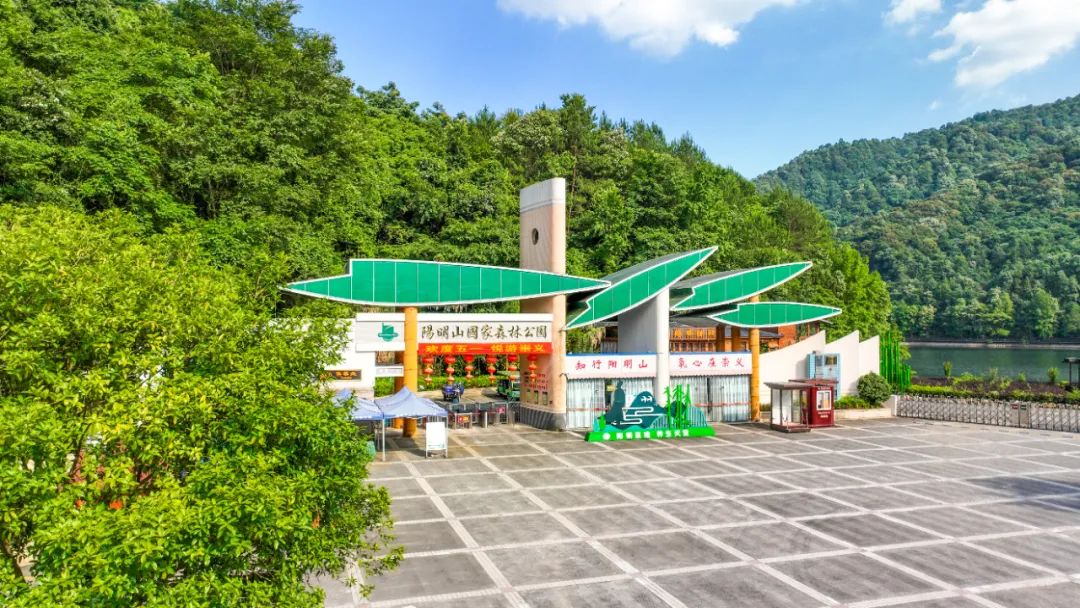 兰溪沟谷雨林:江西赣州崇义阳明山国家森林公园美景一