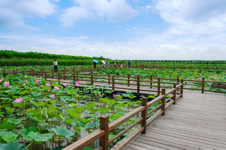 太仓附近旅游景点大全图片