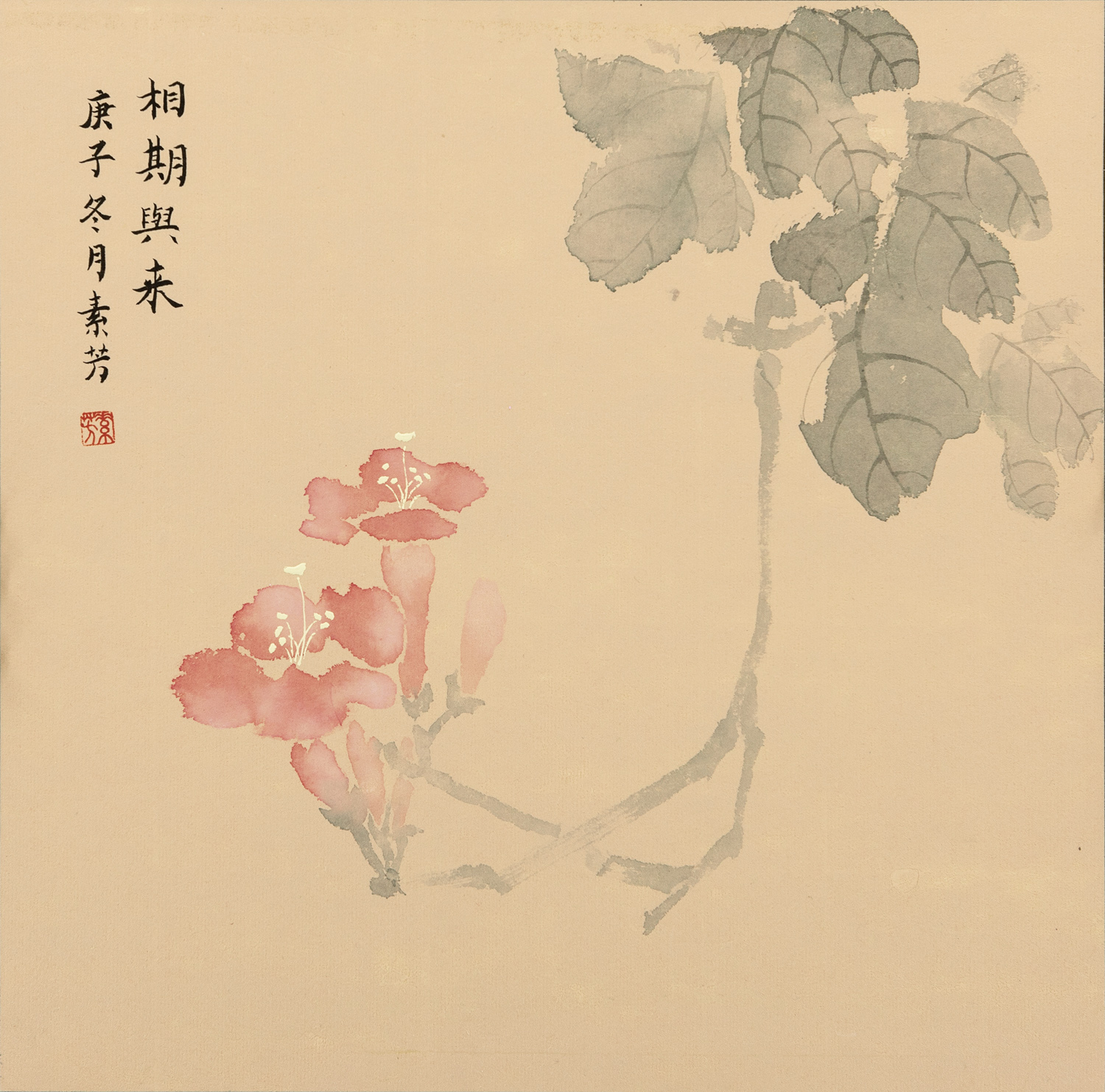 「佳作欣赏」赵素芳画作:淡雅唯美,花香盈袖,诗韵流淌