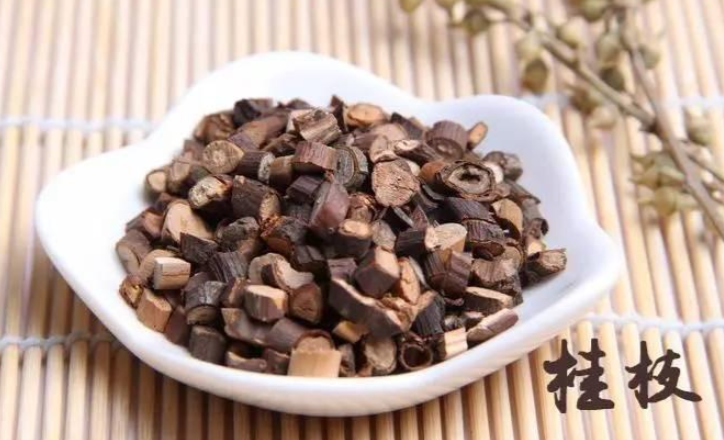 桂枝芍药知母汤:张仲景祛风湿,通经络古方,40岁以后用得上