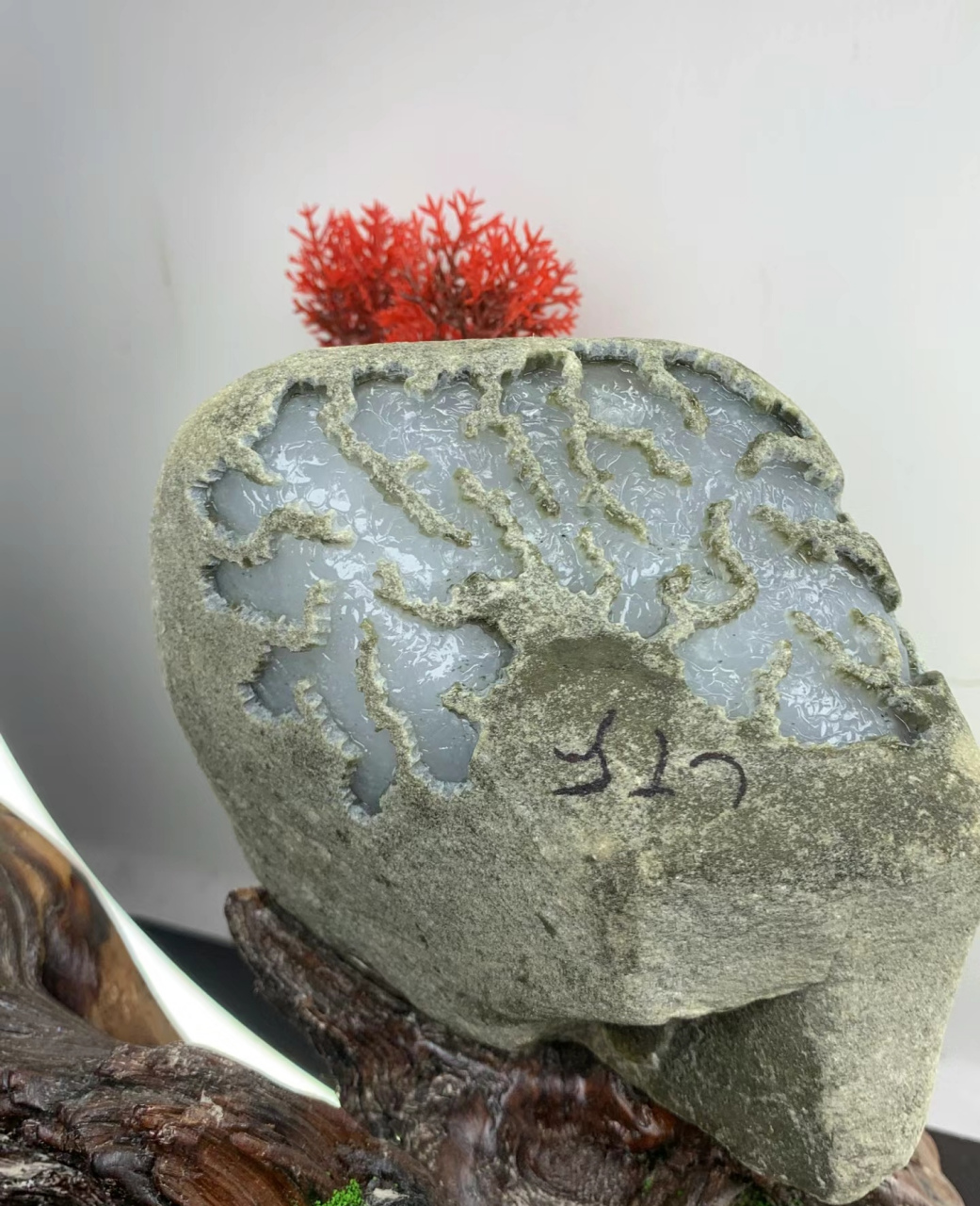 点击头像看直播# 翡翠原石摆件,原石的魅力 翡翠的美是与生俱来的