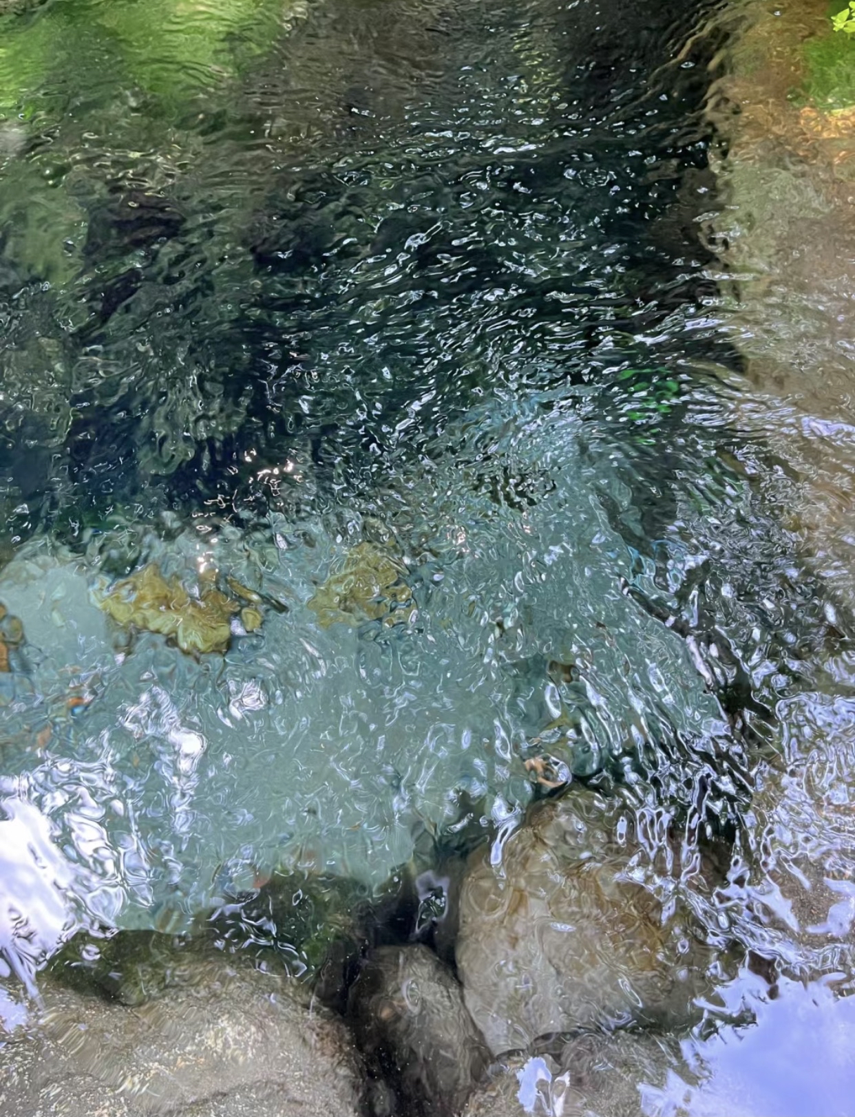 儿时的小河沟是我们的最爱,尤其在炎热的盛夏