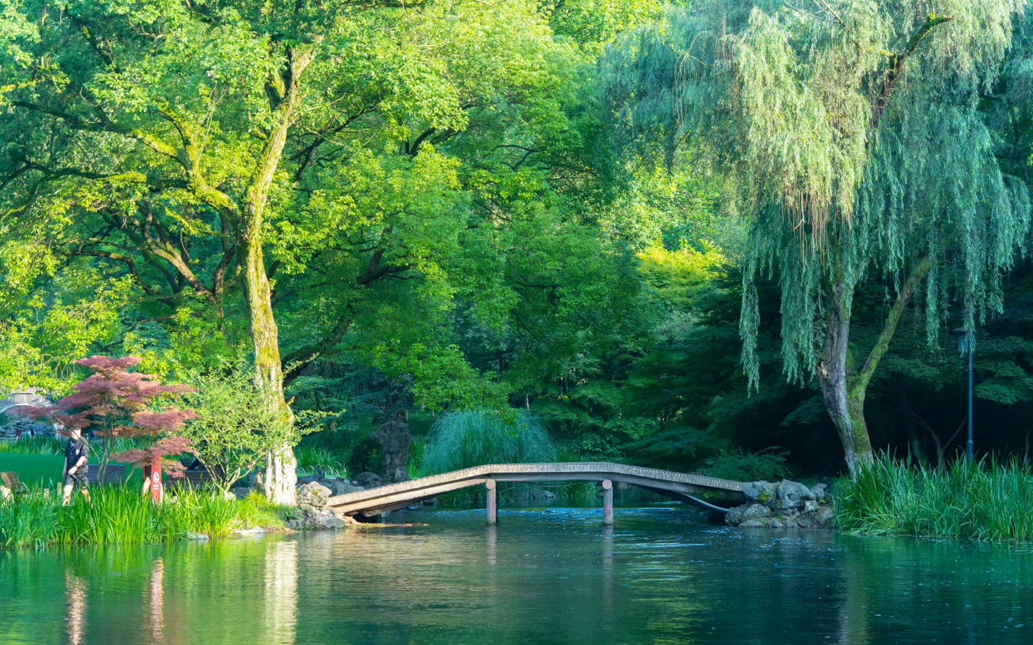夏天一定要去趟杭州太子湾公园!