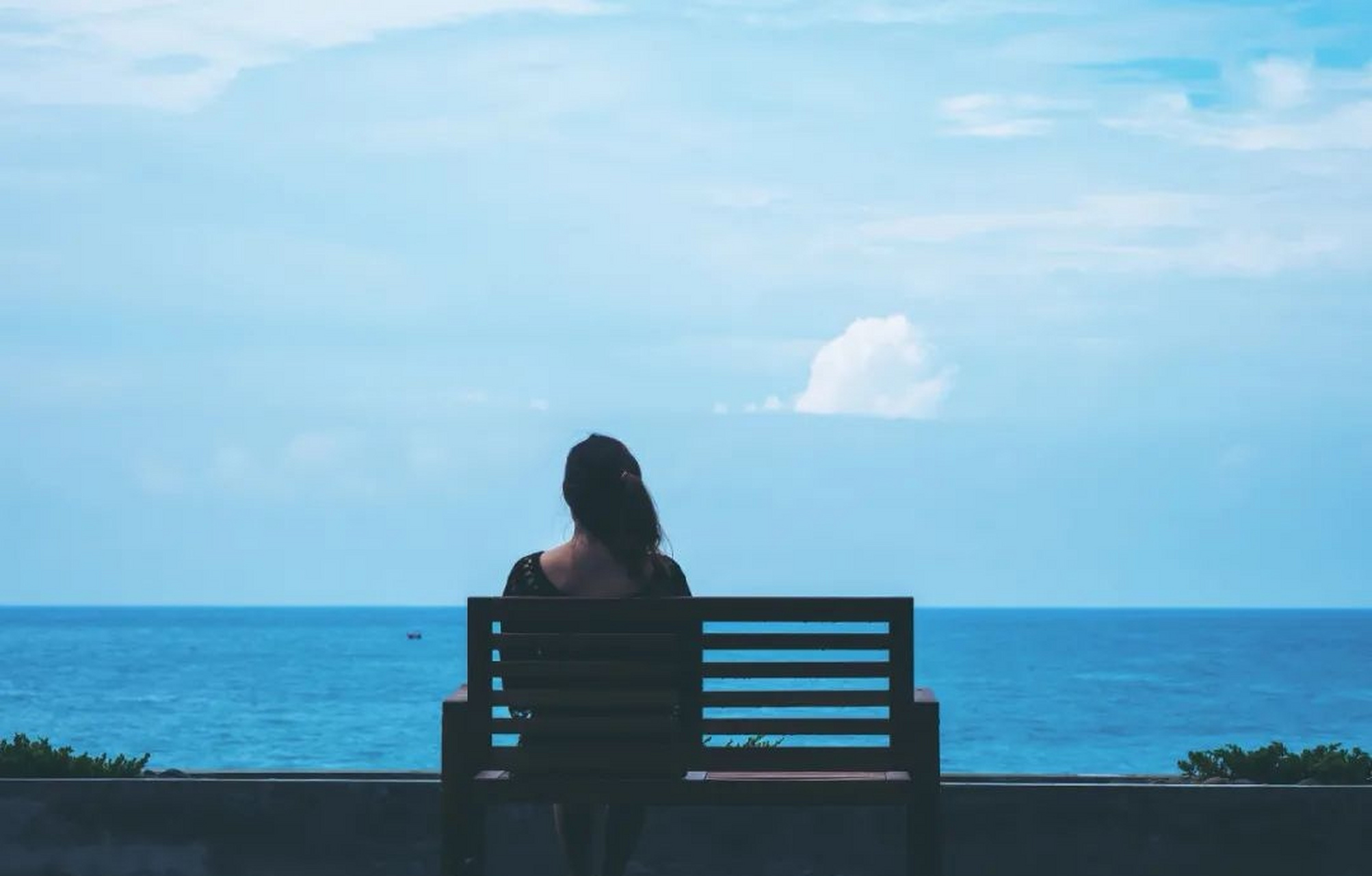 董卿说:"保护自己最好的方式,是从不高估自己在别人心目中的分量,能