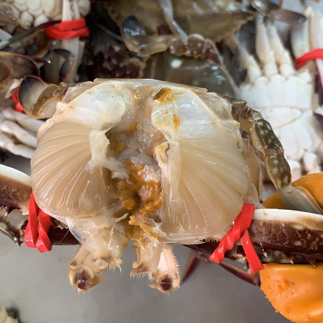 爆款海鲜盛宴:野生新鲜冷冻梭子蟹,尽享蟹肉盛宴