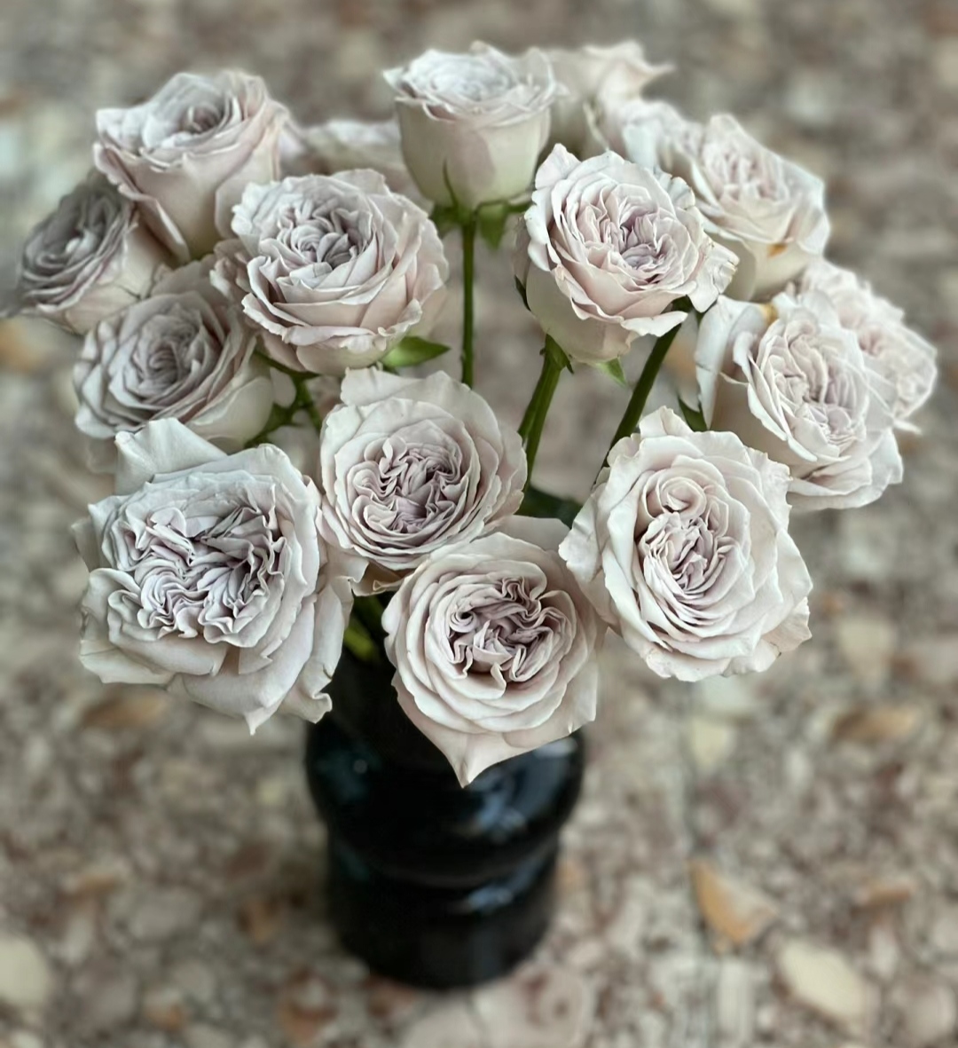 新手慎入盘点容易翻车的3种玫瑰刺客 玫瑰好看,也是很多女孩儿喜欢的