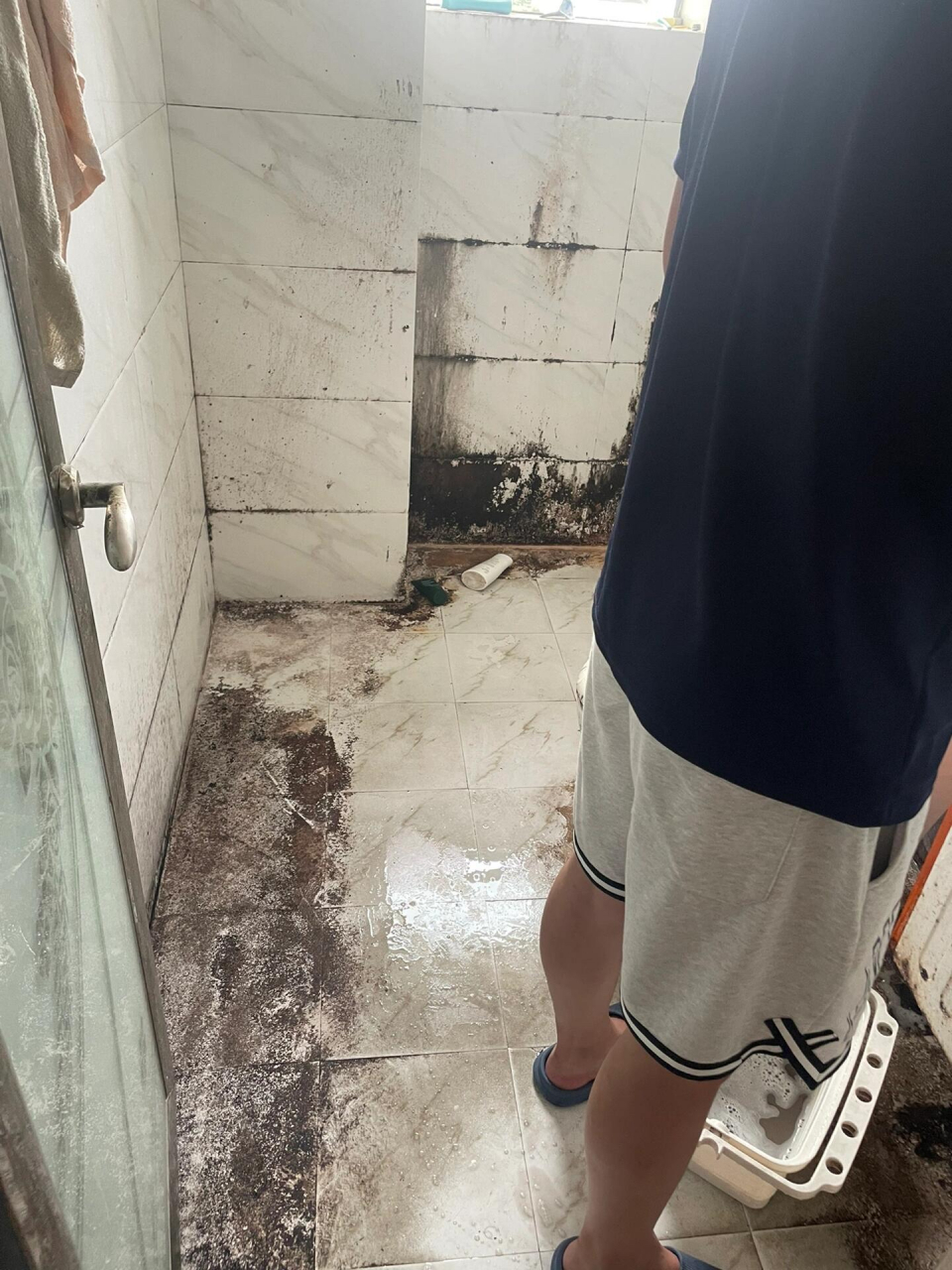 2600我也不愿意刷,从来没见过那么脏的厕所!