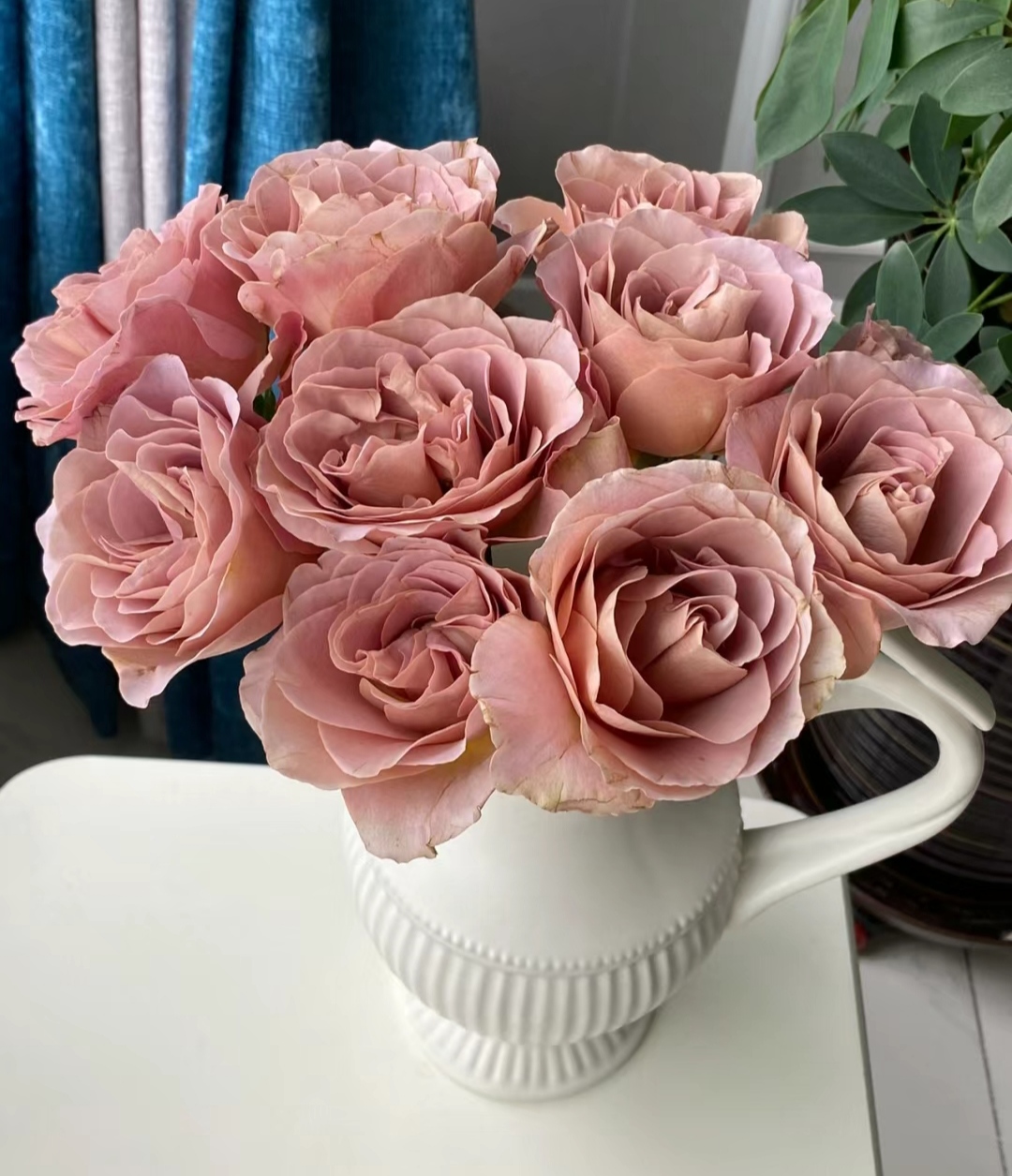 新手慎入盘点容易翻车的3种玫瑰刺客 玫瑰好看,也是很多女孩儿喜欢的