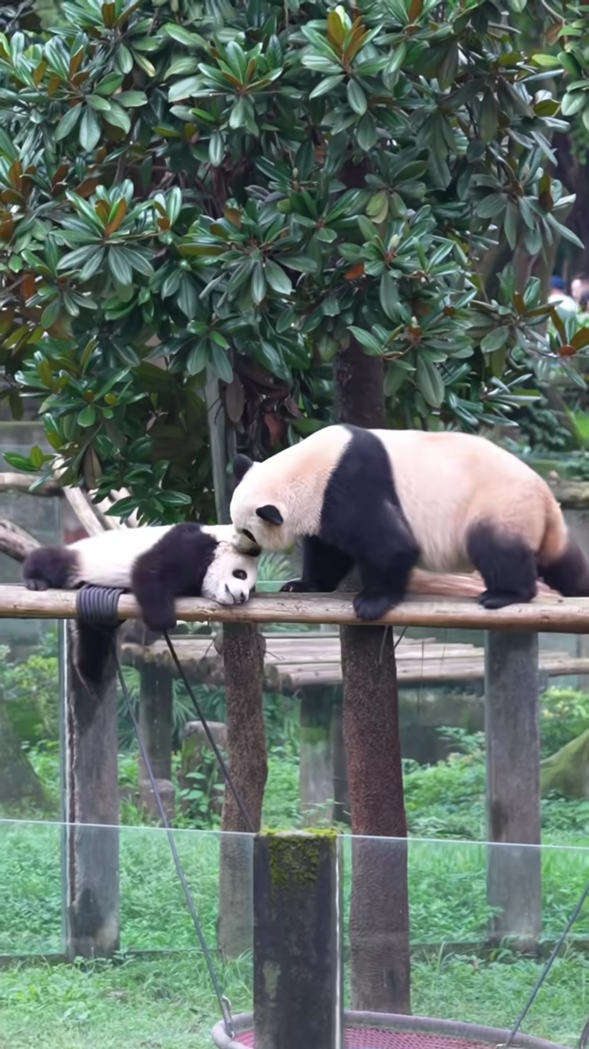 火山哥:"当时我害怕极了!