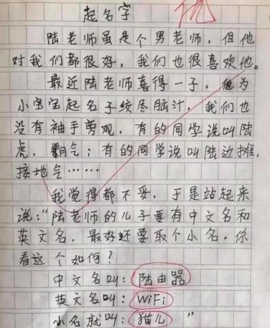 笑哭的小学生作文图片