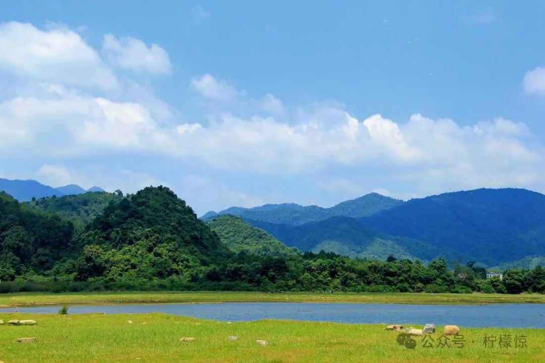 广东罗坑大草原图片