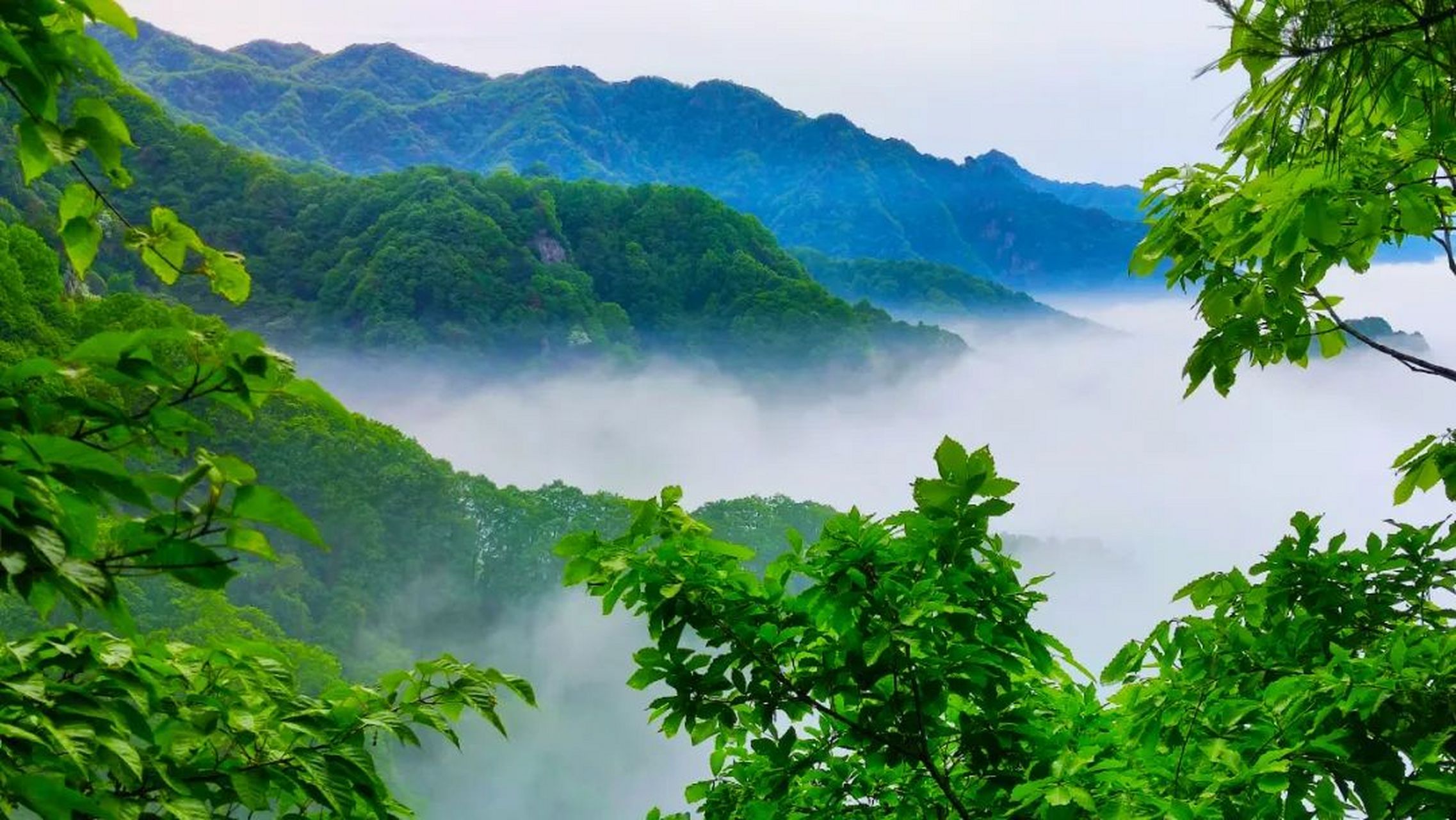 鸡峰山是宝鸡天台山国家级风景名胜区三大景区之一,也是国家3a级旅游